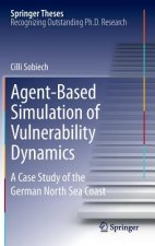 Agent-Based Simulation of Vulnerability Dynamics
