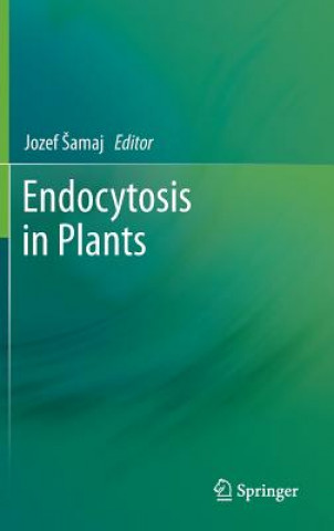 Endocytosis in Plants