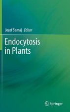 Endocytosis in Plants