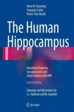 Human Hippocampus