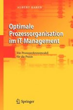Optimale Prozessorganisation Im It-Management