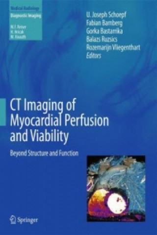 CT Imaging of Myocardial Perfusion and Viability