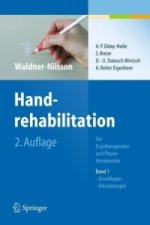 Handrehabilitation