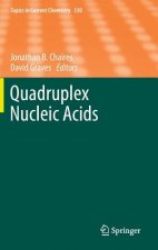 Quadruplex Nucleic Acids