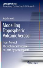 Modelling Tropospheric Volcanic Aerosol