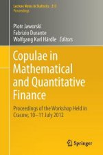 Copulae in Mathematical and Quantitative Finance