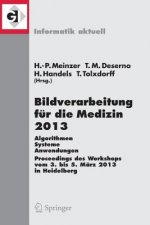 Bildverarbeitung Fur Die Medizin 2013