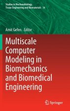 Multiscale Computer Modeling in Biomechanics and Biomedical Engineering