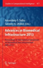Advances in Biomedical Infrastructure 2013