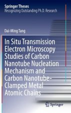 In Situ Transmission Electron Microscopy Studies of Carbon Nanotube Nucleation Mechanism and Carbon Nanotube-Clamped Metal Atomic Chains