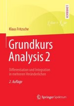 Grundkurs Analysis 2