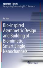 Bio-inspired Asymmetric Design and Building of Biomimetic Smart Single Nanochannels