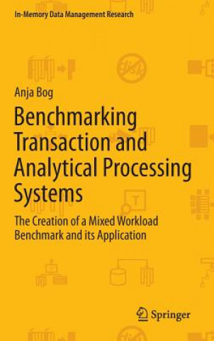 Benchmarking Transaction and Analytical Processing Systems