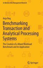 Benchmarking Transaction and Analytical Processing Systems