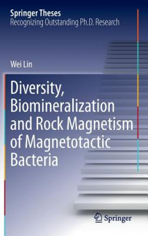 Diversity, Biomineralization and Rock Magnetism of Magnetotactic Bacteria