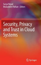 Security, Privacy and Trust in Cloud Systems