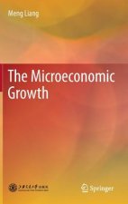 Microeconomic Growth