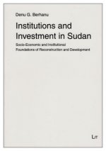 Institutions and Investment in Sudan