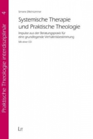 Systemische Therapie und praktische Theologie, m. CD-ROM