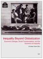 Inequality Beyond Globalization