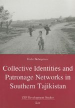 Collective Identities and Patronage Networks in Southern Taj