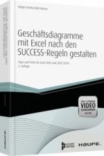 Geschäftsdiagramme mit Excel nach den SUCCESS-Regeln gestalten, m. DVD