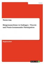 Burgerausschusse in Esslingen - Theorie und Praxis kommunaler Partizipation