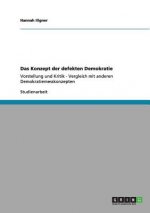 Konzept der defekten Demokratie