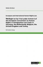 Right to Fair Trial under Article 6 of the European Convention on Human Rights in Immigration Law Cases in Germany, the Netherlands, Belgium, the Unit