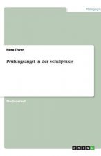 Prufungsangst in der Schulpraxis