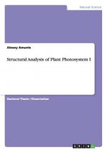Structural Analysis of Plant Photosystem I