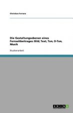 Gestaltungsebenen Eines Fernsehbeitrages