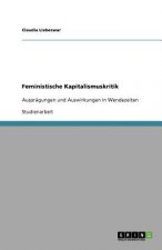 Feministische Kapitalismuskritik