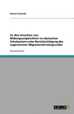 Zu den Ursachen von Bildungsungleichheit im deutschen Schulsystem unter Berucksichtigung des sogenannten Migrationshintergrundes
