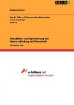 Simulation und Optimierung der Gemischbildung bei UEberschall