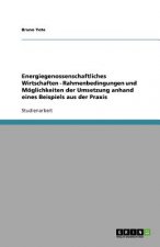 Energiegenossenschaftliches Wirtschaften - Rahmenbedingungen und Moeglichkeiten der Umsetzung anhand eines Beispiels aus der Praxis