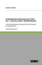 Grossstadtlyrik und -wahrnehmung in Peter Fox' Schwarz zu Blau
