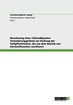 Berechnung Einer Risikoad quaten Versicherungspr mie Zur Deckung Der Haftpflichtrisiken, Die Aus Dem Betrieb Von Kernkraftwerken Resultieren