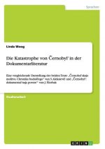 Katastrophe von Černobyl' in der Dokumentarliteratur