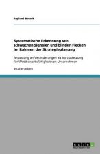 Systematische Erkennung von schwachen Signalen und blinden Flecken im Rahmen der Strategieplanung