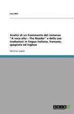 Analisi di un frammento del romanzo 