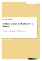 Small and medium-sized enterprises in Bulgaria