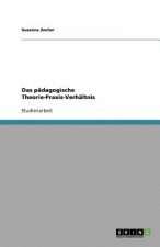 padagogische Theorie-Praxis-Verhaltnis