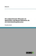 Der präpositionale Akkusativ im Spanischen und dessen Definition als ein Schnittstellenphänomen