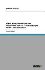 Public History Am Beispiel Des Historischen Romans Der Augsburger T ufer Von Georg Brun
