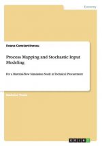 Process Mapping and Stochastic Input Modeling