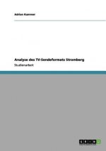 Analyse des TV-Sendeformats Stromberg