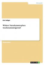 Wirken Naturkatastrophen wachstumssteigernd?