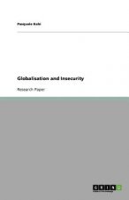 Globalisation and Insecurity