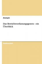 Das Betriebsverfassungsgesetz - ein UEberblick